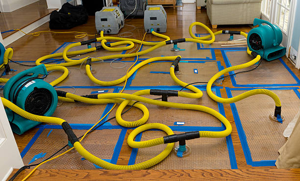 Professional Basement Flood Cleanup technician working in Port Gamble, WA